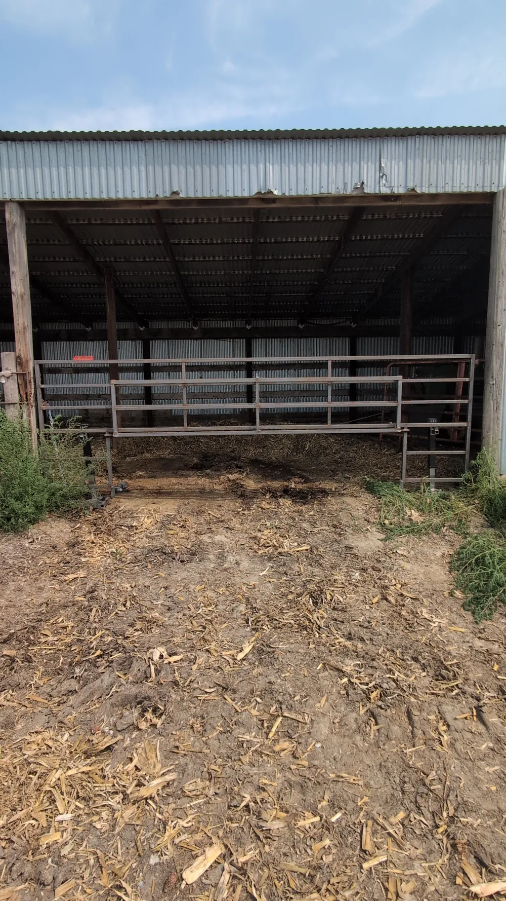 Custom 15-foot pipe gate closed across the open bay of a metal calving shelter, with the creep gate section swung up and latched open