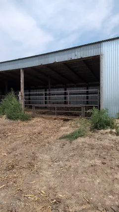 Full view of the shelter bay with the gate closed and creep opening set for calves